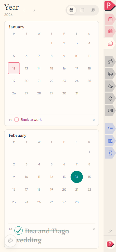 The year calendar on a phone, twelve mini months stacked with a few dates marked