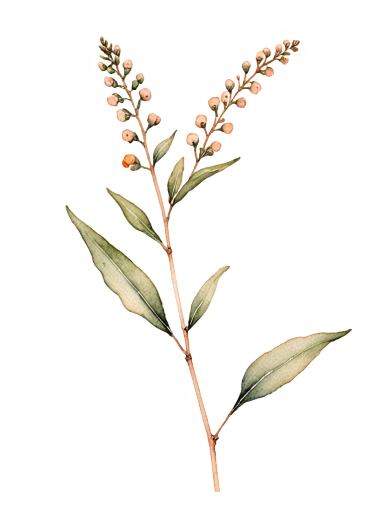 A foliage sticker